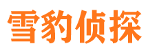 藁城市私人侦探